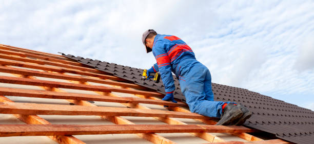 Best Roof Insulation Installation  in Skagway, AK